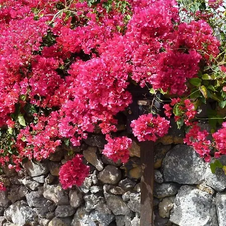 Holiday Home Finca